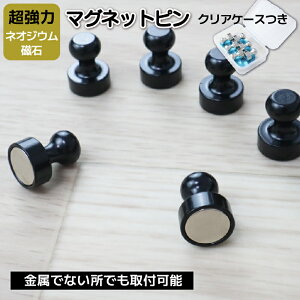 _Ԍ聝MAX40%OFF^  }Olbg s  lIW  tbN   J[ Pi 6 12 24 Zbg 킢 s^ }OlbgtbN  sO Vo[ }Olbgs