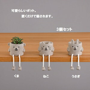 t[|bg 3g Aj}Xg|bg    K[fjO  v^[ u  rO@Lb`  v[g