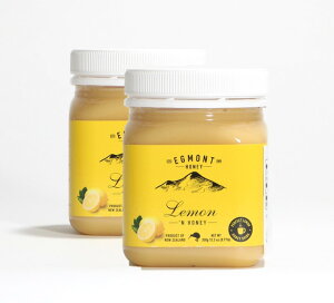 【お得な2個セット】レモン&ハニー クローバー はちみつ 99% 天然 ビタミンC ミネラル 必須アミノ酸 レモンハニードリンク ドレッシング 美味しい物 ギフト