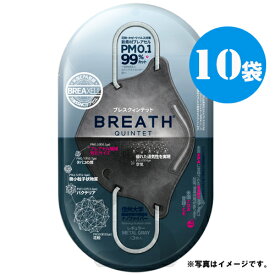 メーカー直営店 BREATH SILVER QUINTET MASK ブレスマスク レギュラー　グレー10袋（1袋×2枚入り、20枚）PM0.1〜PM2.5対応 ナノマスク ウイルス対策 目玉商品