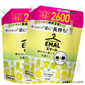 花王 エマール リフレッシュグリーン おしゃれ着用洗濯洗剤 2600ml×2個 洗濯用品 新商品