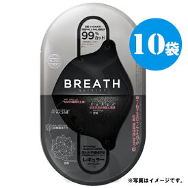 BREATH SILVER QUINTET MASK ブレスマスク レギュラーブラック10袋（1袋×2枚入り、20枚）PM0.1〜PM2.5対応 ナノマスク ウイルス対策 目玉商品