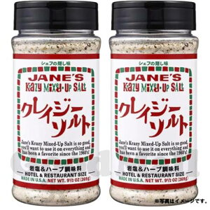 JANE`S NCW[\g zeXgTCY 269g×2 (63661)