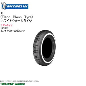 ~V 125R12 62S FB20 X-FB zCgEH[ T}[^C NVbN^C (ls)(125-12)