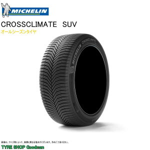 ~V I[V[Y 235/60R18 103V AO NXNC[gSUV AEfB Q5 (T}[^C)(ls)(18C`)(235-60-18)