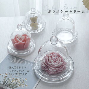 P[Lh[ KXJo[ v[g ӂt P[LX^h  NVbN p[ XC[cfBXvC Ăَqۑ t CeAH JtF