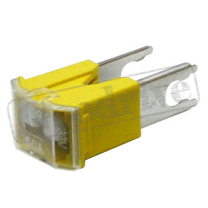 X[u[q[Y SBF-3166FBT^CvECG[60AMP