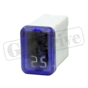 X[u[q[Y SBF-3173FM^CvEzCg25AMP