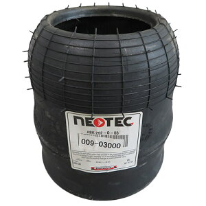 HINO FC Ᏸ2 2(㑤)Eԗ֗p NEOTECGATX 009-03000/\iԁFS4850-E0300