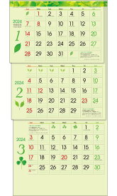 トーダン 2024年 カレンダー 壁掛け グリーン3ヶ月（上から順タイプ / ミシン目入り） 75 x 35cm TD-30787