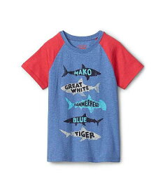 送料無料 Hatley Kids 男の子用 ファッション 子供服 Tシャツ Lots Of Sharks Raglan Tee (Toddler/Little Kids/Big Kids) - Blue