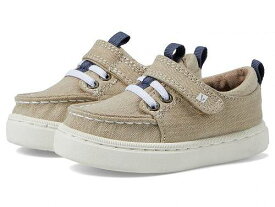 送料無料 Sperry Kids 男の子用 キッズシューズ 子供靴 スニーカー 運動靴 Offshore Lace Washable (Toddler/Little Kid) - Khaki