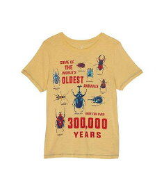 送料無料 ピーク PEEK 男の子用 ファッション 子供服 Tシャツ The Life Cycle of A Beetle Tee (Toddler/Little Kids/Big Kids) - Yellow