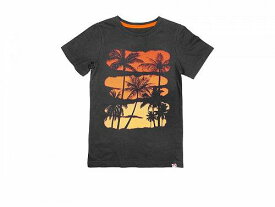 送料無料 アパマンキッズ Appaman Kids 男の子用 ファッション 子供服 Tシャツ Sunset Palm Tree Graphic Tee (Toddler/Little Kid/Big Kid) - Dark Grey