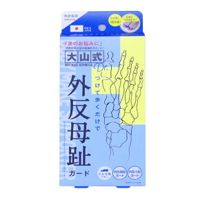 R wpbh OK[h q[  ̎Ȃɂ݂K[h j p p {fBVFCv 