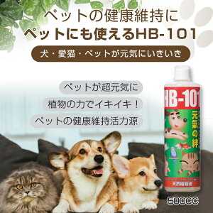 ��e�� �y�b�g�p �t���[�� HB-101 �����p ���� �V�R�A���t 500cc �V�R�A�����͉t �y�b�g �� �L �� �� ���C �H�� �� 500ml 500cc��������