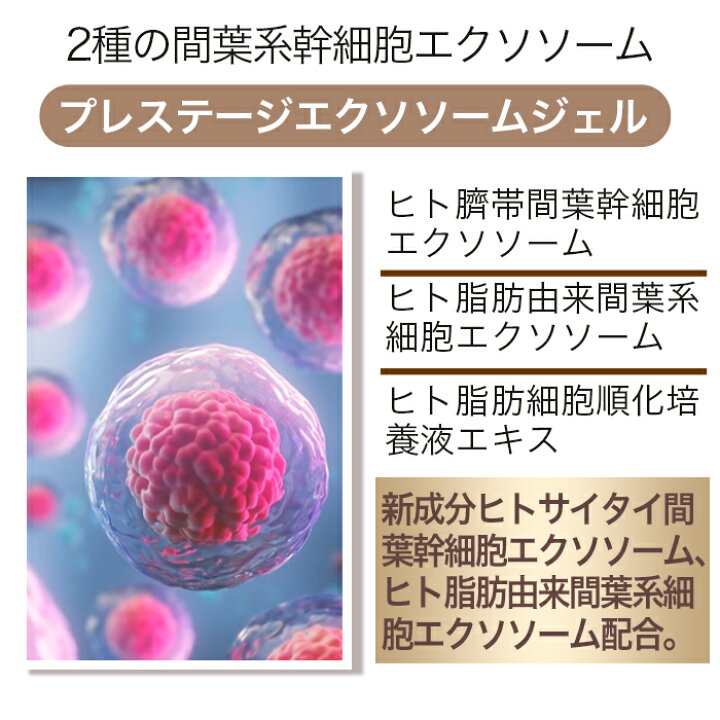 楽天市場】【リニューアル】DDS MATRIX マトリックス プレステージ 