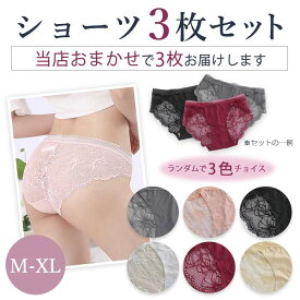 セクシー ショーツ スタンダード カシュクールレース 総レース プレーンショーツ 下着 パンティ パンツ かわいい パンティー 女性 レディース M L LL かわいい下着 可愛いショーツ ぱんつ 単品 レースショーツ 3枚セット 送料無料