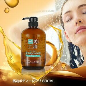 F n {fB\[v 600ml { CX`[ z  Ƃ 邨   qA_ ێ