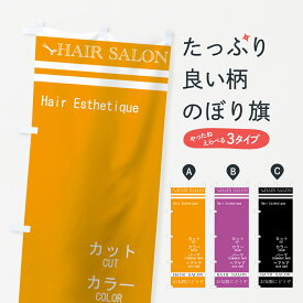 【ネコポス送料360】 のぼり旗 ヘアサロンのぼり 778P カット カラー パーマ ヘアケア 美容院・ヘアサロン グッズプロ グッズプロ グッズプロ