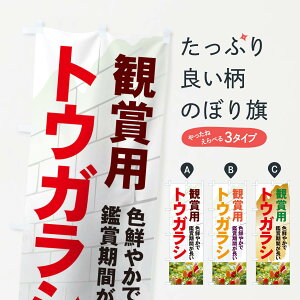 ylR|X360z ̂ڂ ϏܗpgEKV̂ڂ 71TF FN₩Ŋӏ܊Ԃ ϗtA ObYv