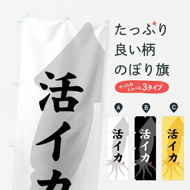 楽天市場 いか のぼり 活の通販