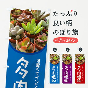 y|Xg 360z ̂ڂ AEɂAE񂹐AET{êڂ 4290 ObYv ył܂z