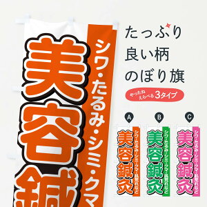【ネコポス送料360】 のぼり旗 美容鍼灸のぼり 498N 接骨院・鍼灸 グッズプロ 【名入れできます+1017円】