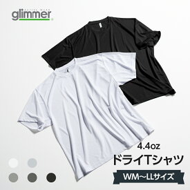 4.4オンス ACT ドライTシャツ モノトーン系 WM〜LLサイズ グッズプロ