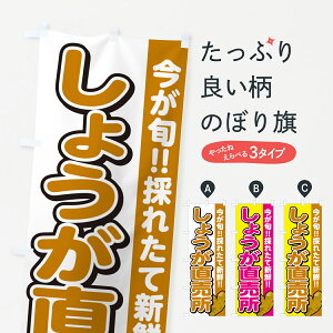 ylR|X360z ̂ڂ 傤EVEKEÎڂ GA8Y VN؁E ObYv ył܂+1017~z