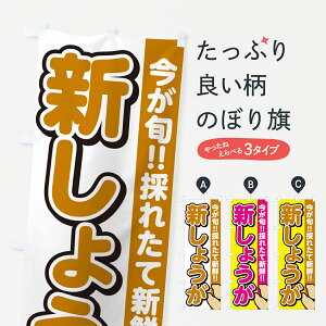 ylR|X360z ̂ڂ V傤EVEKEÎڂ GALE  ObYv ył܂+1017~z