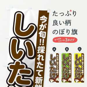 ylR|X360z ̂ڂ EVC^PEő̂ڂ GAPY ̂E ObYv ył܂+1017~z