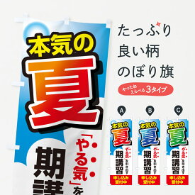 【ネコポス送料360】 のぼり旗 夏期講習・学習塾・生徒募集・習い事のぼり GJEN グッズプロ 【名入れできます+1017円】