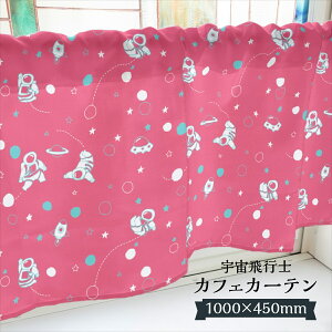 JtFJ[e Fsm 1000×450mm