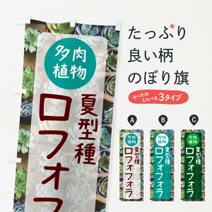 y|Xg 360z ̂ڂ tHtHEČ^EÂڂ N2L0 ObYv ył܂+1017~z