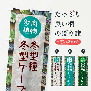 y|Xg 360z ̂ڂ ~^P[vouE~^EÂڂ N2L1 ObYv ył܂+1017~z