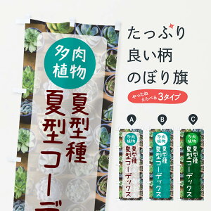 y|Xg 360z ̂ڂ Č^R[fbNXEČ^EÂڂ N2LY ObYv ył܂+1017~z