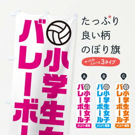 【ポスト便 送料360】 のぼり旗 小学生女子バレーボール・メンバー募集のぼり N0LX 球技 グッズプロ グッズプロ