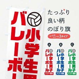 【ポスト便 送料360】 のぼり旗 小学生男子バレーボール・メンバー募集のぼり N0L5 球技 グッズプロ グッズプロ