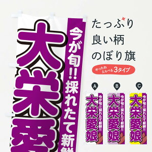 y|Xg 360z ̂ڂ hE܂Ȃނ߁E܂îڂ NHYW  ObYv ył܂+1017~z