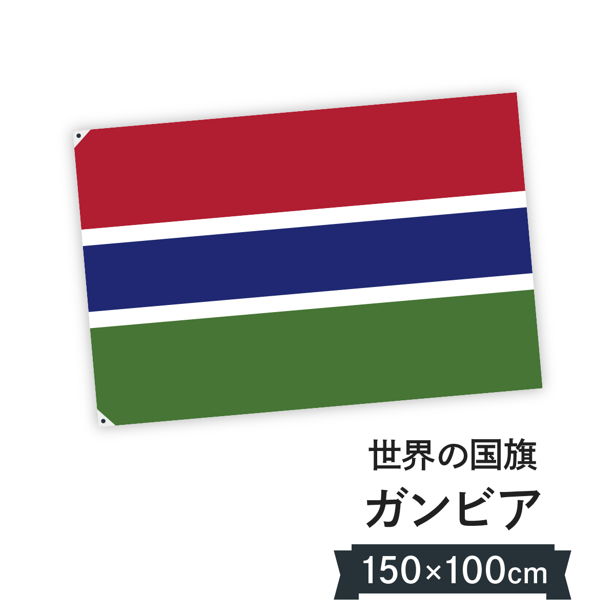 今年も話題の ガンビア共和国 H100cm W150cm 国旗 国旗 Rikk Dev Kaliber Is
