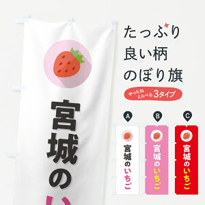 y|Xg 360z ̂ڂ {̂EC`SE䕂̂ڂ NRR3 E ObYv ył܂+1017~z