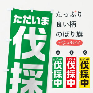 y|Xg 360z ̂ڂ ܔ̒̂ڂ NRW3 ƒ ObYv ył܂+1017~z