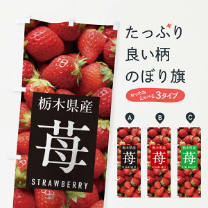 y|Xg 360z ̂ڂ Ȗ،YEC`SE䕂̂ڂ NSKK E ObYv ył܂+1017~z