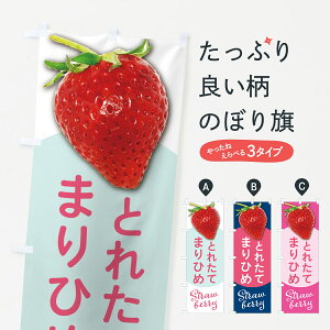 y|Xg 360z ̂ڂ ܂Ђ߁EE䕁Eîڂ 572L ObYv ył܂+1017~z