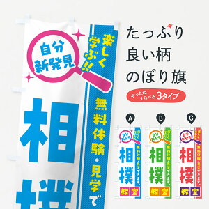 【ポスト便 送料360】 のぼり旗 相撲教室・習い事・講座のぼり 521C 武道・格闘技 グッズプロ 【名入れできます+1017円】