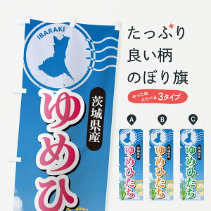 y|Xg 360z ̂ڂ ߂ЂE錧YEĂ̂ڂ 5JUS VāE ObYv ył܂+1017~z