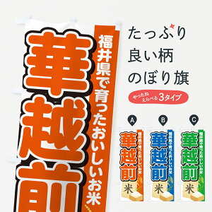 y|Xg 360z ̂ڂ ؉zOE䌧YEĂ̂ڂ 5JW5 VāE ObYv ył܂+1017~z