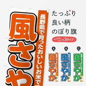 y|Xg 360z ̂ڂ ₩E쌧YEĂ̂ڂ 5JWJ VāE ObYv ył܂+1017~z