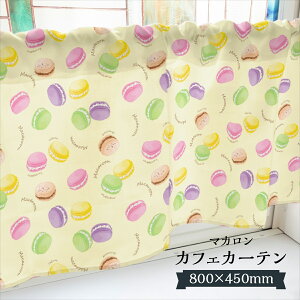�J�t�F�J�[�e�� �}�J���� 800×450mm